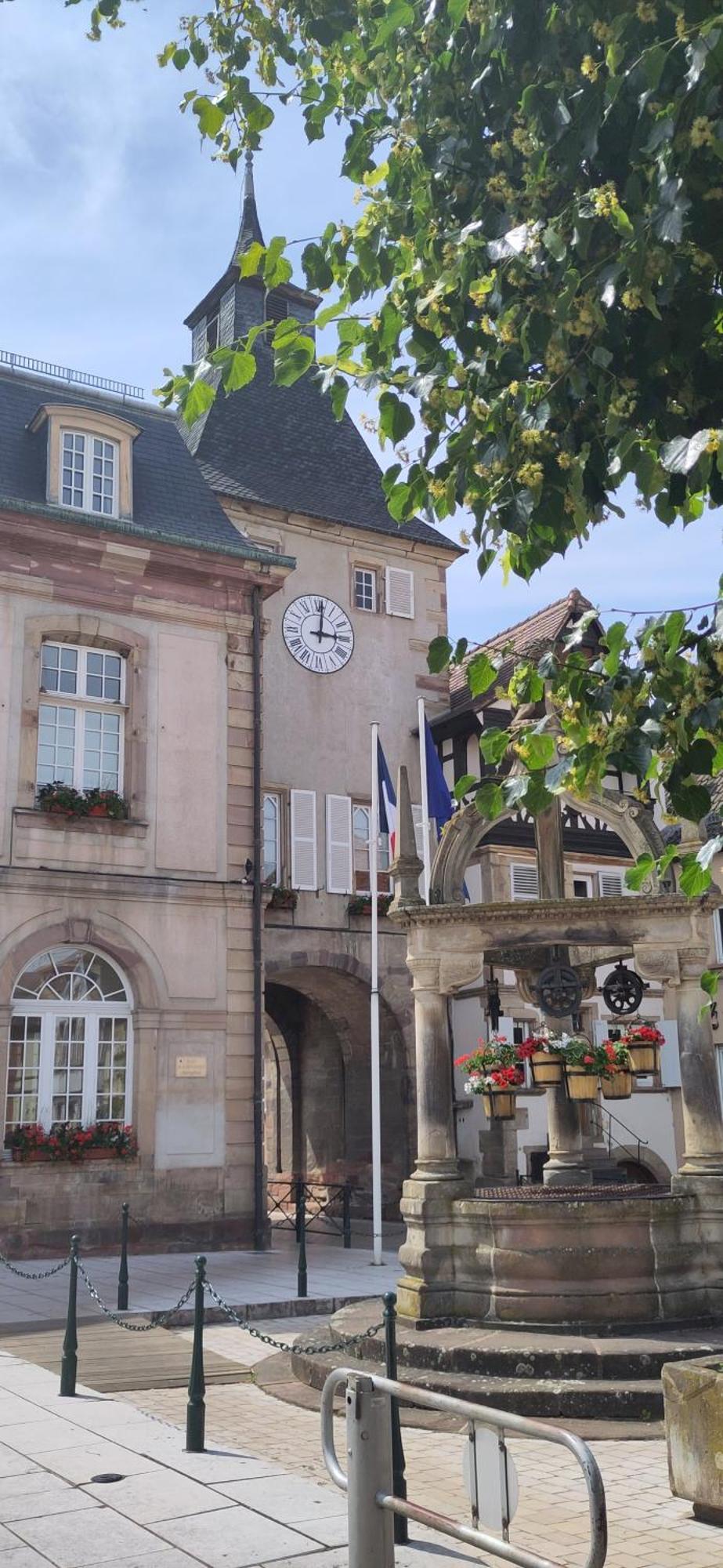 La Maisonnette Bleue, Eco-Logis Equipe De Toilettes Seches ロスハイム エクステリア 写真